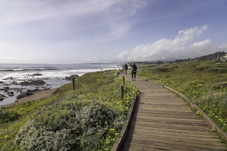 people walking the trail at Moonstone Beach in Cambria, CA