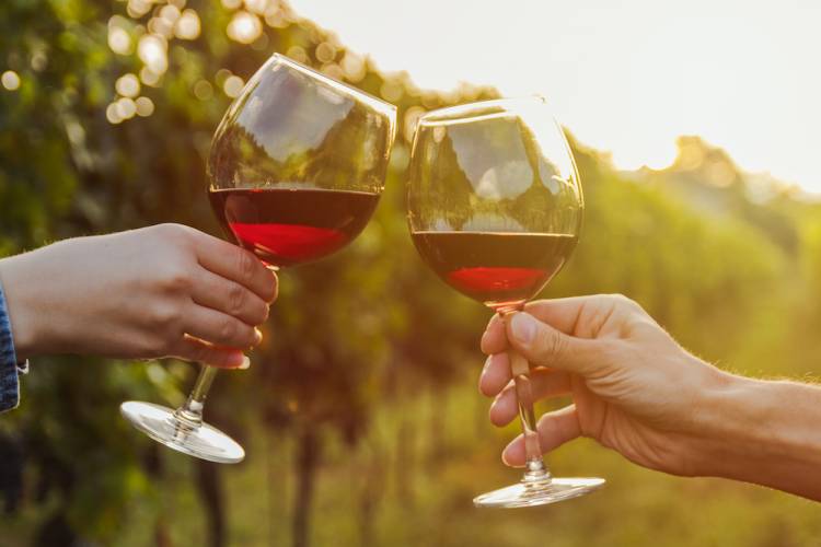 two people clinking wine glasses in a vineyard