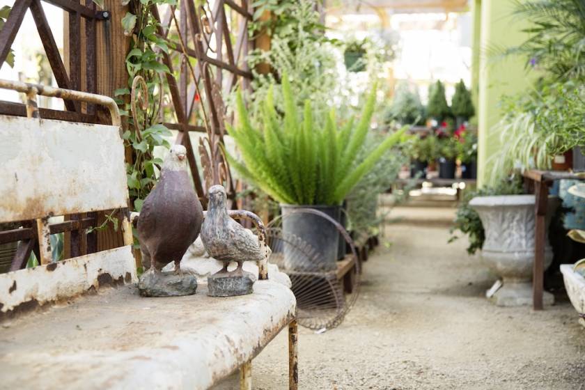 garden statues and plants